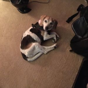 Meet your Posher, Matthew